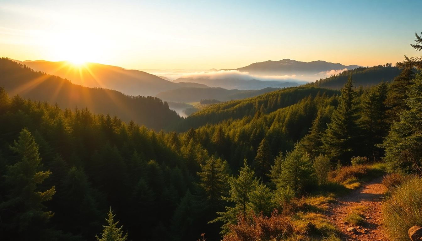 Majestic views of the Thüringer Wald showcasing dense forests and rolling hills, perfect for outdoor activities and nature lovers.